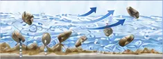 付着物が剥離して流れるイメージ
